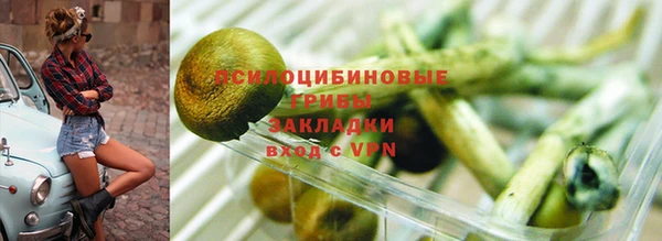 ECSTASY Алзамай