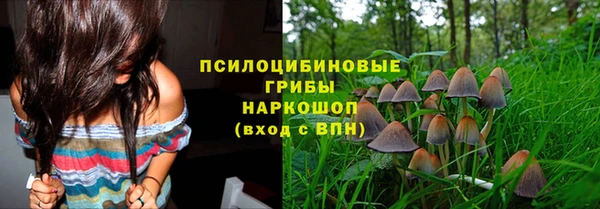 ECSTASY Алзамай