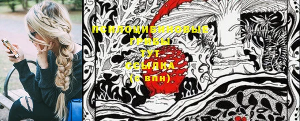 ECSTASY Алзамай